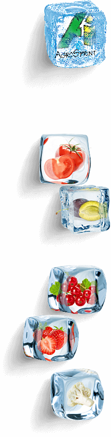 Kapcsolat Agrosprint