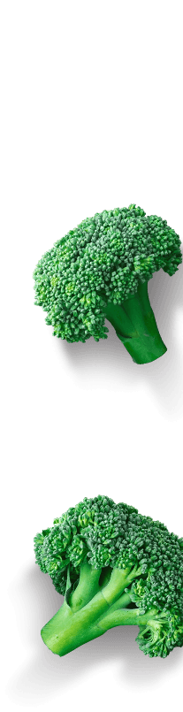 Sprint Natura brokkoli - Agrosprint