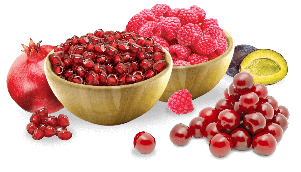 Agrosprint quick-frozen Sprint fruits